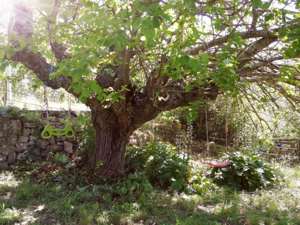 סייה Bastide Provencale Les Muriers D'Engaspaty מראה חיצוני תמונה